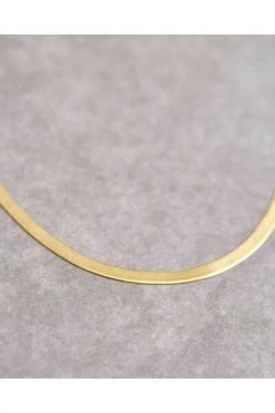 Aloha Winkel -Aloha Winkel 8feec0bd18054bae9f1dd679926e9bbf